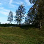 Rauth