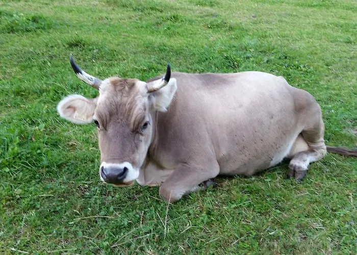 Apartment Rauth Leutasch